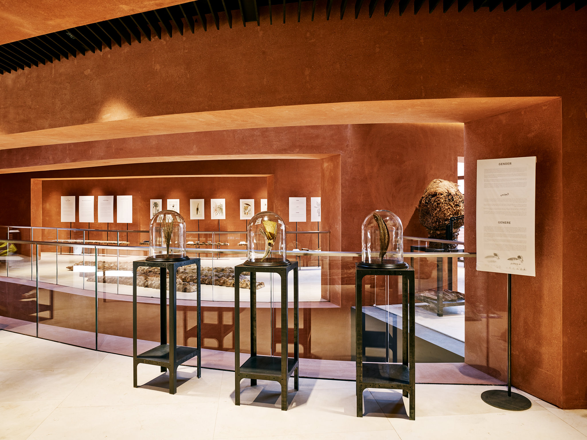 E15547 Alpa 050406 SCREEN